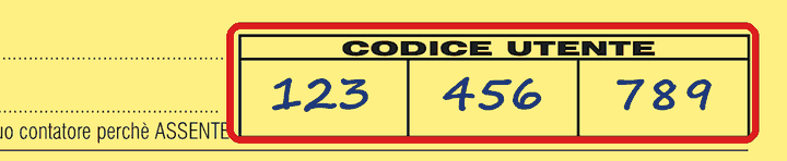 Esempio di cartolina: riquadro CODICE UTENTE con le caselle 123, 456 e 789